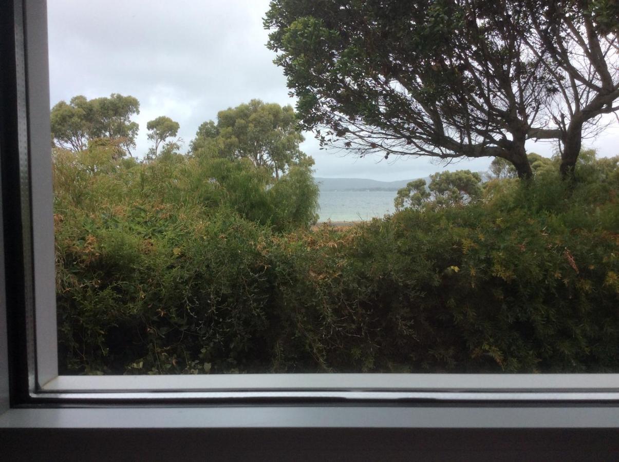 Hanover Bay Apartments アルバニー エクステリア 写真